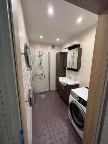 ein Badezimmer mit einer Waschmaschine und einem Waschbecken in der Unterkunft LUNA Apartamentai in Akmenė
