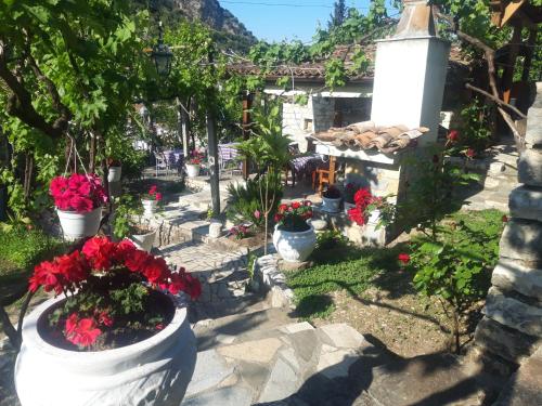 Guesthouse & hostel Lorencにある庭