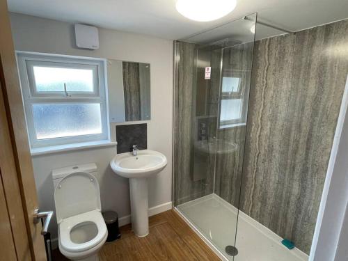 uma casa de banho com um WC, um lavatório e um chuveiro em Hot Tub, Newly refurbished 4 bed, Dog friendly. em Torquay