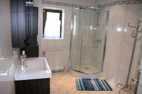 a bathroom with a shower and a sink at Apartment Elisabeth in Kaumberg