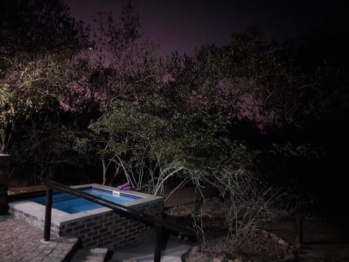 a swimming pool at night next to some trees at Villa de Leeu, Perfect for Two in Marloth Park