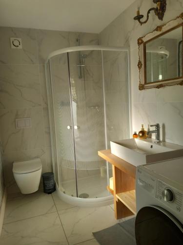 uma casa de banho com um chuveiro, um WC e um lavatório. em Edenski vrt em Ivančna Gorica