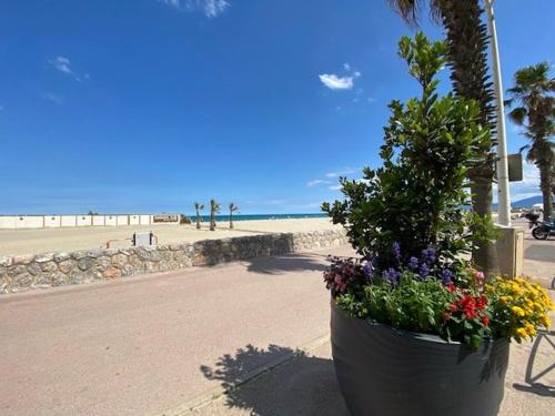 Studio pour 4 pers, bord de mer à Canet-en-Roussillon