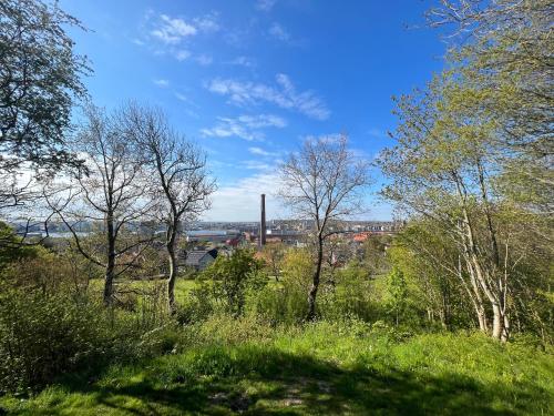 a field of grass with trees and a factory in the background at Nyt hus fra 2022 med jungle vibe in Nørresundby