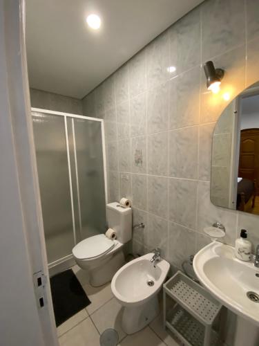 a bathroom with a toilet and a sink and a shower at Casa de Casarelhos - Vistas Serra do Gerês e rio - Lareira in Geres