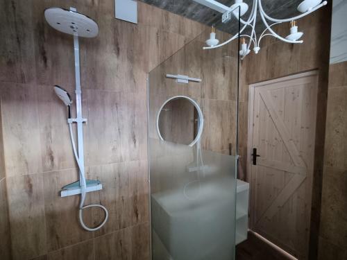 a shower in a bathroom with a glass door at Apartament Domek w Górach Gorce Pieniny in Tylmanowa