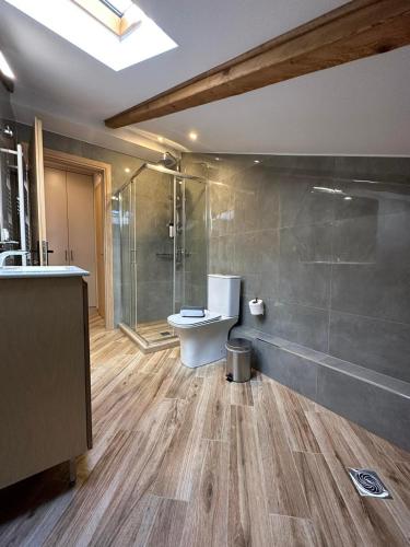 La salle de bains est pourvue de toilettes et d'une douche en verre. dans l'établissement Meteora Sunrise, à Kalambaka