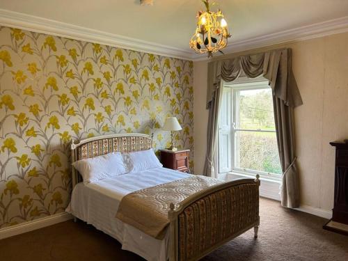 a bedroom with a bed and a window and a chandelier at Annsborough House Castlewellan in Castlewellan