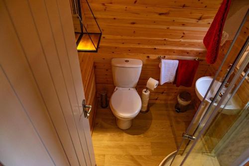 a small bathroom with a toilet and a sink at Causeway Country Pods in Bushmills