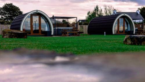 a couple of domes in a field of grass at Causeway Country Pods in Bushmills