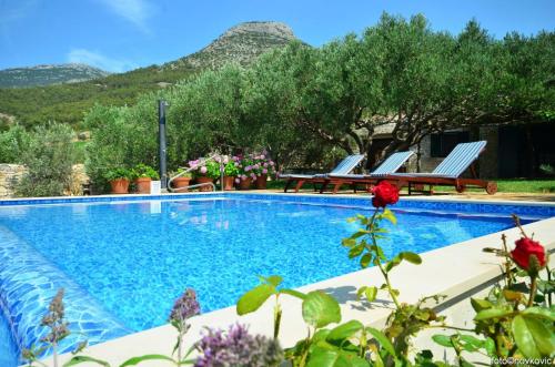 Holiday house in Bol with sea view, terrace, air conditioning, WiFi 120-1