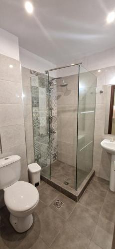 a bathroom with a shower and a toilet and a sink at Christina Studios in Lygia