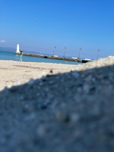 Landskap semula jadi dekat dengan rumah tamu ini