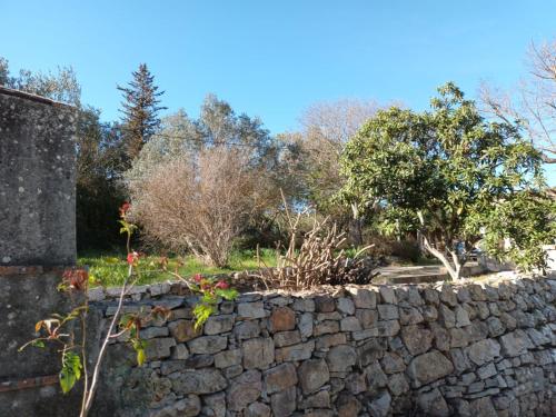 Κήπος έξω από το Gîte Zen