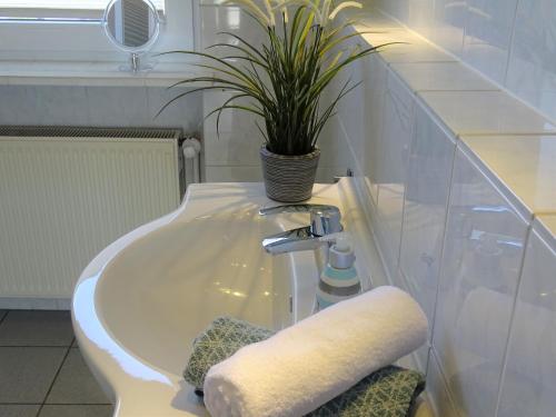 ein Badezimmer mit einem Waschbecken und einer Topfpflanze in der Unterkunft Vogelnest - a63988 in Kellenhusen