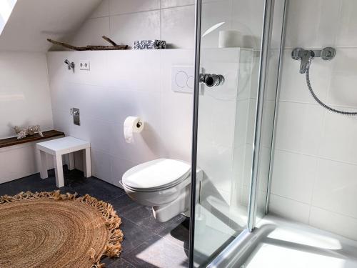 een badkamer met een toilet en een glazen douche bij Ferienwohnungen Alte Destillerie in Neuwied