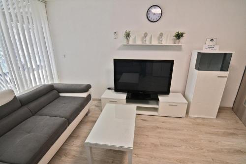 a living room with a couch and a flat screen tv at Apartman Zemplinska Širava Timea in Kaluža