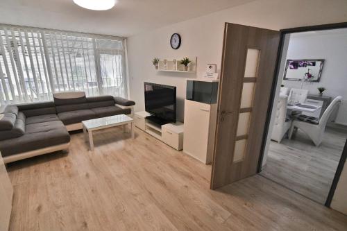 a living room with a couch and a television at Apartman Zemplinska Širava Timea in Kaluža