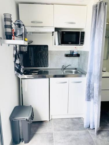 uma cozinha branca com um lavatório e um micro-ondas em Joli Petit Studio Cosy em Marignane