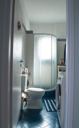 a bathroom with a white toilet and a shower at Indigo in Rafina