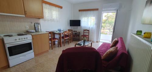 uma cozinha e sala de estar com um sofá e uma mesa em Ailamakis Apartements em Zákros