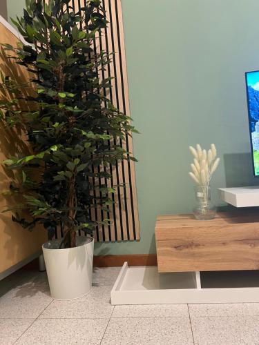 a potted plant in a room next to a table at ApartHotel Verona Centro in Verona