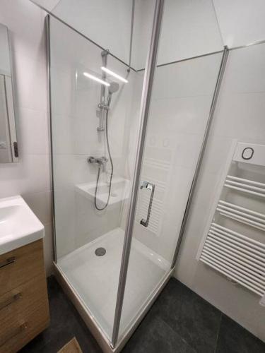 a shower with a glass door in a bathroom at Appartement dans le 7e arrondissement de Lyon. in Lyon