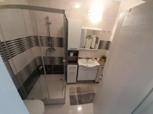 a bathroom with a shower and a toilet and a sink at Airplane Residence 1 in Otopeni