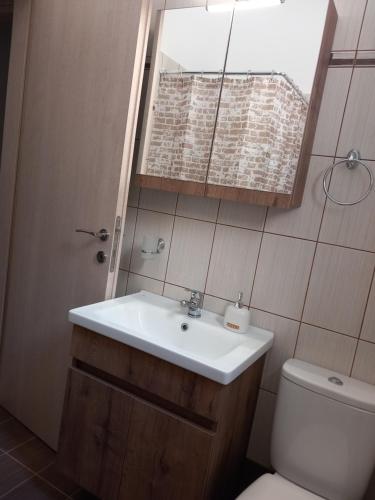 a bathroom with a sink and a mirror and a toilet at Aurora Andros House in Korthi