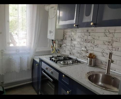 a kitchen with a sink and a stove top oven at Silene Studio in Craiova