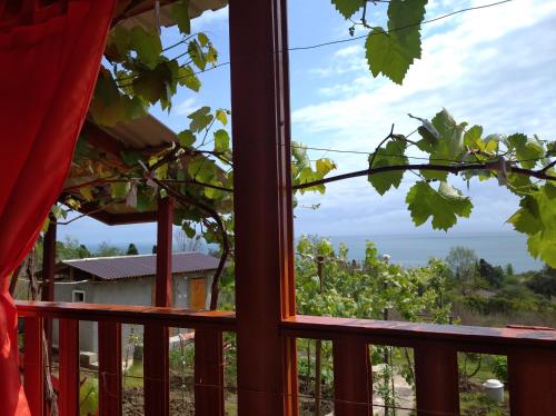 een uitzicht vanuit een raam van een wijngaard bij Семейный домик под ключ у моря в Новом Афоне! in Nieuw Athos