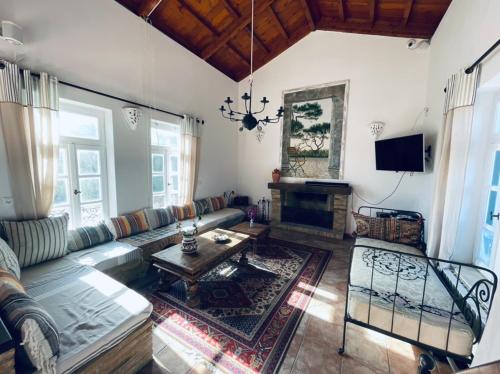 a living room with a couch and a table at Villa Conte in Panayías