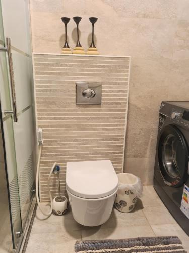 a bathroom with a toilet and a washing machine at Khalda Rooftop Apt. in Amman