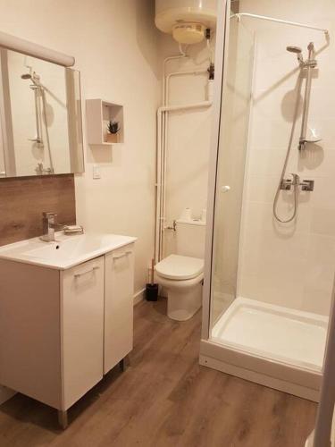 une salle de bain avec une douche, un lavabo et des toilettes dans l'établissement Agréable appartement lumineux au centre-ville, à Oyonnax