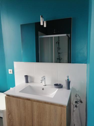 une salle de bain avec un lavabo blanc et un miroir dans l'établissement La pause, à Saint-Agrève