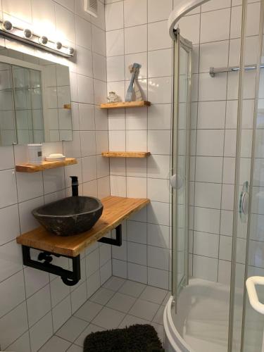 a bathroom with a sink and a shower at derankerplatz-fehmarn in Burgtiefe auf Fehmarn 