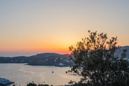 a sunset over a body of water with a tree at Sea and Sun l in Mylopotas