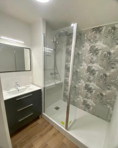 une salle de bain avec douche et lavabo dans l'établissement Blue ocean, à Biscarrosse