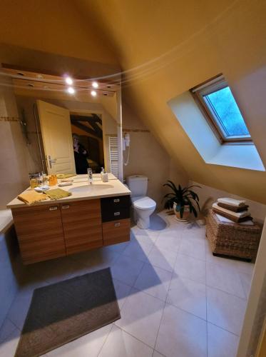 a bathroom with a sink and a mirror and a toilet at Le moulin de Meslon in Coust