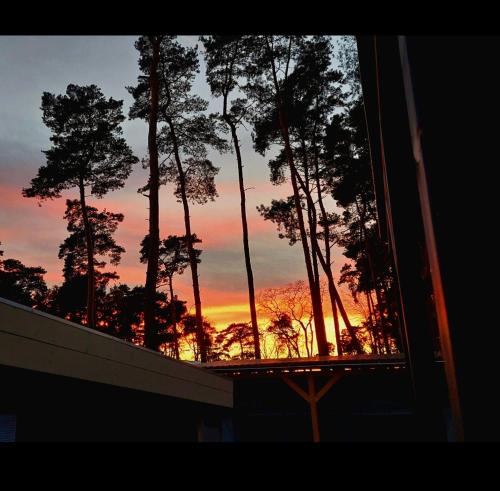 a view of a sunset through a window with trees at Comtesse-Camping Plauer See in Brandenburg an der Havel