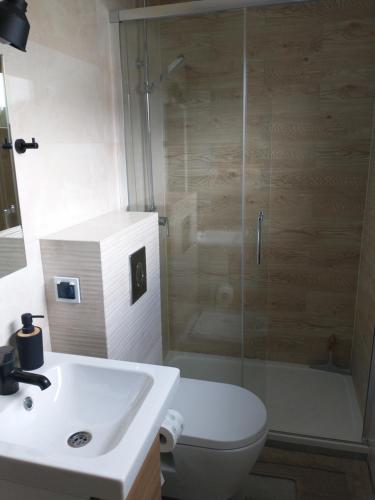 La salle de bains est pourvue d'une douche, de toilettes et d'un lavabo. dans l'établissement Kwiat Jabłonki, à Wikno