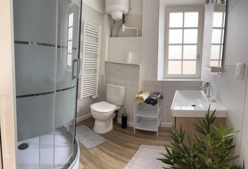 a bathroom with a shower and a toilet and a sink at Studio Meublé Tout Confort in Montauban