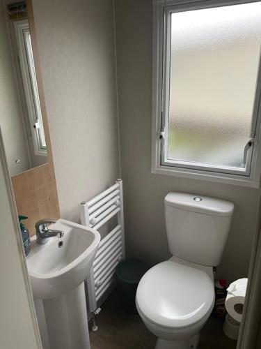 een badkamer met een toilet, een wastafel en een raam bij Holiday Home at Cherry Tree Holiday Park 738 in Great Yarmouth