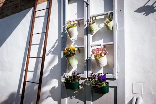 a wall with flower pots on it with a ladder at Rózsa Porta in Zengővárkony