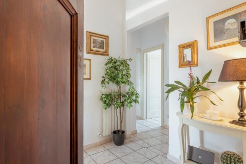 a hallway with white walls and a potted plant at San Leonardo apartment in Lucca