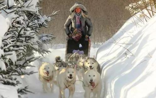a group of dogs in the snow with a woman at Condo 305 33 Chemin du Hameau by Les Chalets Alpins in Stoneham