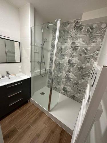 une salle de bain avec douche et lavabo dans l'établissement Green Oasis, à Biscarrosse