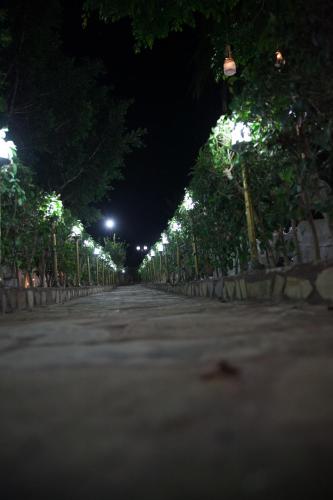 an empty street at night with trees and lights at Aphrodite View in Korakiaí