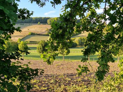 a view of a field through the trees at Vakantiehuis Dur Piepert in Eys