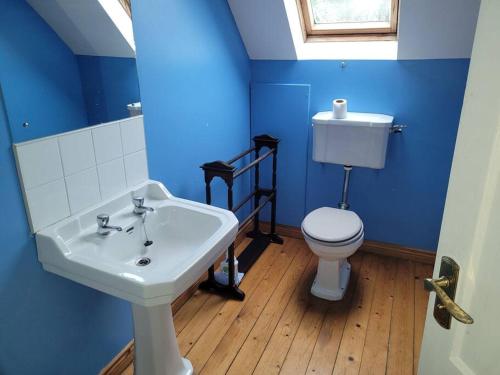 a blue bathroom with a sink and a toilet at Cottage by the sea Greencastle in Greencastle